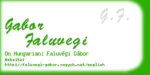 gabor faluvegi business card